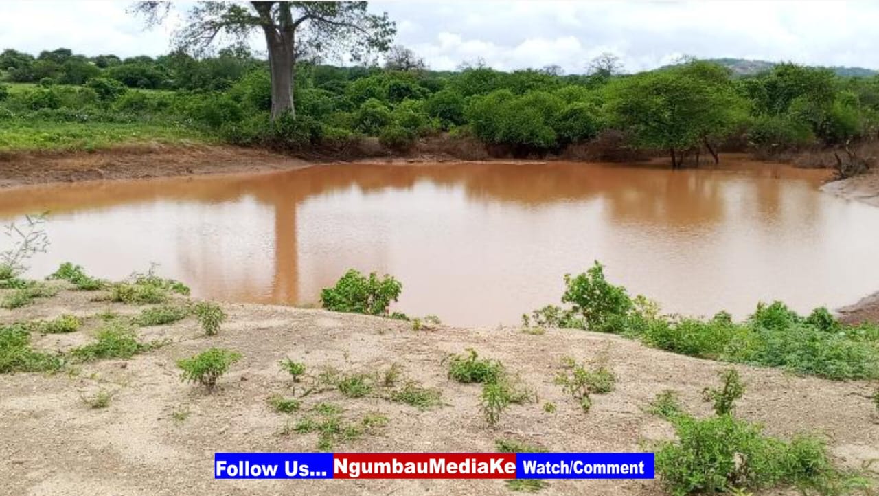Kazi Safi; Kwa Nzengu Dam Set to End Water Woes in Kanziko Ward (Photos)