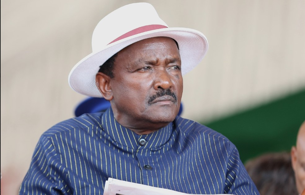 Why Kalonzo Musyoka is the United Opposition’s Choice to Carry Kibaki’s Legacy and Uphold the 2010 Constitution